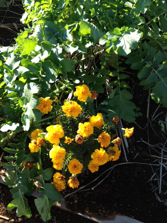 201112104.jpg