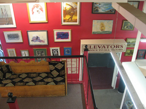 IMG_2782.jpg